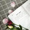 Tres Reinos de la Vida, Libros sobre Meditación, Dejar Ir, Libros de Energía Positiva, Cultivo Espiritual, Libros sobre Autocultivo