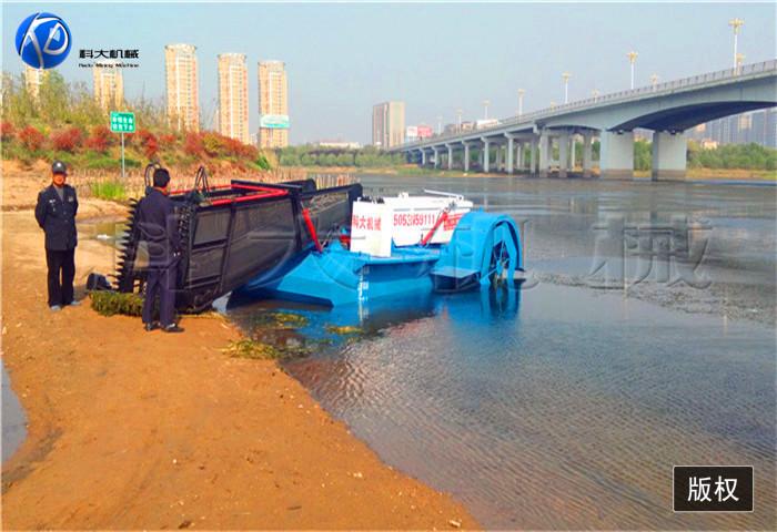 17日照割草船 (1).jpg