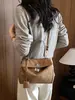 Bolso de mano platino para mujer, nuevo bolso de hombro coreano de tendencia 2026, bolso de mano de alta gama elegante de gran capacidad para el día a día