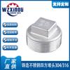 Tapón Cuadrado de Acero Inoxidable 304 316 Rosca Externa Tapa de Tubo Tapón Cuadrado Rosca Externa Conector de Tubería de Agua Squareplug m