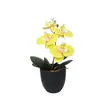 Impresión 3D Bonsái Artificial de Phalaenopsis Decoración para Hogar, Oficina, Bodas Arreglo Floral Decoración de Mesa Flores Artificiales con Tacto de PU