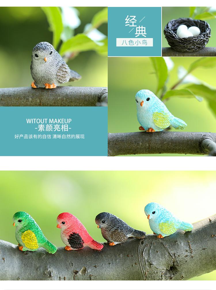 八色小鸟_05