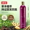 Champú Anticaspa con Hoja de Platycladus Orientalis, Champú Fortalecedor del Cabello con Extracto de Planta Controlador de Grasa y Voluminizador, Champú con Hoja de Platycladus Orientalis
