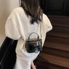 Bolso de mano tipo cubo de alta gama, estilo retro, informal, de moda, para primavera de 2025, bolso de mensajero de nicho