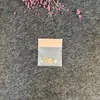 Bolsa para Joyería Bolsa Auto-sellante de EVA Estilo Ins Sentido Avanzado Aretes Anillo Bolsa Sellada para Joyería Escarchada Bolsa Antioxidación
