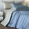 Capa de Edredom de Seda Gelada de Verão Peça Única Capa de Edredom para Uma Pessoa 150X200X230Cm Lençol Separado 1,5m