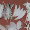 Acessórios para Joias DIY de Pena Branca Pena Branca Pena de Casamento Pena de Ganso Pena de Peru Acessórios Decorativos