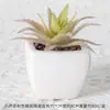Suculentas Simuladas Personalizadas Cerámica Bonsái Plantas Verdes Escandinavas Adornos Hogar Interior Sala de Estar Flores Falsas Suculentas Plantas en Maceta