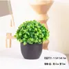 Plantas Verdes Simples Suculentas de Plástico em Vaso Ornamento para Sala de Estar Mesa de Jantar Flores Artificiais Decorações Ornamento Flores Biomórficas