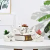 Dongheng Maceta de Animales Estilo Japonés y Coreano Maceta Mini Pulgar Adornos Set de Búho Cambio de Horno Maceta para Suculentas con Base