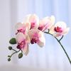 Flor artificial, sensación de phalaenopsis, decoración del hogar, planta artificial, decoración de bodas, fábrica de flores artificiales al por mayor
