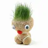 Muñecos de Paja Pequeños y Medianos de Yiwu, Muñecos de Cabeza de Paja, Juguetes Novedosos Trendy de Cultivo en Maceta para Sembrar Hierba