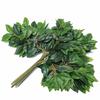 Dongguan planta verde artificial Árbol grande rama plana Hoja Naranja Hoja de Arce Higuera Francesa hoja de té hoja de plástico