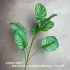 Plantas Verdes Estilo Bosque Simuladas y Paisajes de Hojas Verdes, Arreglos Florales para Bodas de Hotel Estilo Bosque al Aire Libre, Proyectos de Paisajismo para Carreteras y Jardines