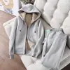 Moletom Espesso com Forro de Lã Estilo 2026 para Mulheres, Conjunto com Capuz Tendência Estilo Ins Outono e Inverno, Conjunto Casual Esportivo Duas Peças de Inverno para Mulheres