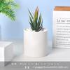 Tetera de Porcelana Blanca Dehua Maceta Suculenta Blanco Puro Jardinería Moderna para el Hogar Cerámica Maceta Pequeña Transfronteriza Simple Maceta para Suculentas