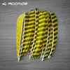 Penas de Flecha de Pena Natural Listradas de 4 polegadas em Formato de Escudo/Gota d'Água Penas de Peru Acessórios para Arco e Flecha DIY Atacado em Estoque