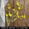 Buquê amarelo multi-cabeça longo ramo rosa peônia hortênsia amarelo claro casamento estrada de casamento fundo de chumbo flor falsa flor de seda