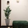 Ms8454 Planta Verde Simples Envasada Sala de Estar Quarto Parede de Fundo Adesivos de Parede Decorativos Adesivos de Parede Criativos