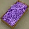 Flor Mágica Flor Eterna AB Anna Hortênsia 100g Aniversário Real Flor Diy Material Flor Seca Decoração Namorada Presente