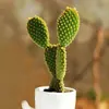 Cacto Flor de Jasmim Carmesim em vaso para decoração de escritório e casa, flores de varanda, mudas de suculentas