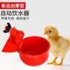 Bebedouro Automático para Aves Frango Pato Ganso Tigela de Beber Pintinhos Codorna Bebedouro para Pombos Pássaros Copo de Beber