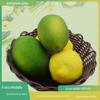 Processamento e personalização de enfeites de resina de frutas artificiais de limão, modelos falsos de decoração para casa, sobremesa, leite, chá, loja, fotografia