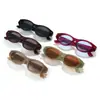 Gafas de Moda Europeas y Americanas Transfronterizas Nuevas Gafas de Sol con Estampado de Leopardo Simple Gafas de Sol Ojo de Gato de Moda Personalizadas Gafas de Sol Retro para Fiesta para Mujeres