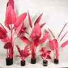 Combinación única de serie roja rosa azul plátano cola suelta caparazón de tortuga Kwai Canna escénico simulación