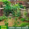 Estante para uvas, enredaderas trepadoras, soporte para flores, pepinos, luffa, rosas, plantas trepadoras, para patio al aire libre