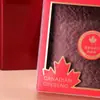 Caja Acrílica de Suplementos Alimenticios Tónicos Universales Ginseng Americano Pepino de Mar Vieiras Secas Dendrobium Empaque de Pepino de Mar Caja de Regalo Caja Interior Vacía