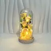 Cúpula de Vidro com Flor Eterna Rosa Simulada com Luz LED Ornamentos de Flor de Sabão para o Festival Qixi, Dia dos Namorados, Presente de Aniversário, Transfronteiriço
