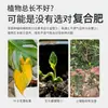 Fertilizante composto universal para hortaliças, alta eficiência, liberação rápida, fertilizante de longa duração para flores, frutas e hortaliças, fertilizante NPK de liberação lenta