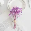 Flores Preservadas, Flores Secas, Recuerdos Navideños, Mini Ramos, Botellas de Aromaterapia, Ramilletes, Cajas de Regalo Navideñas, Fabricantes de Regalos Decorativos