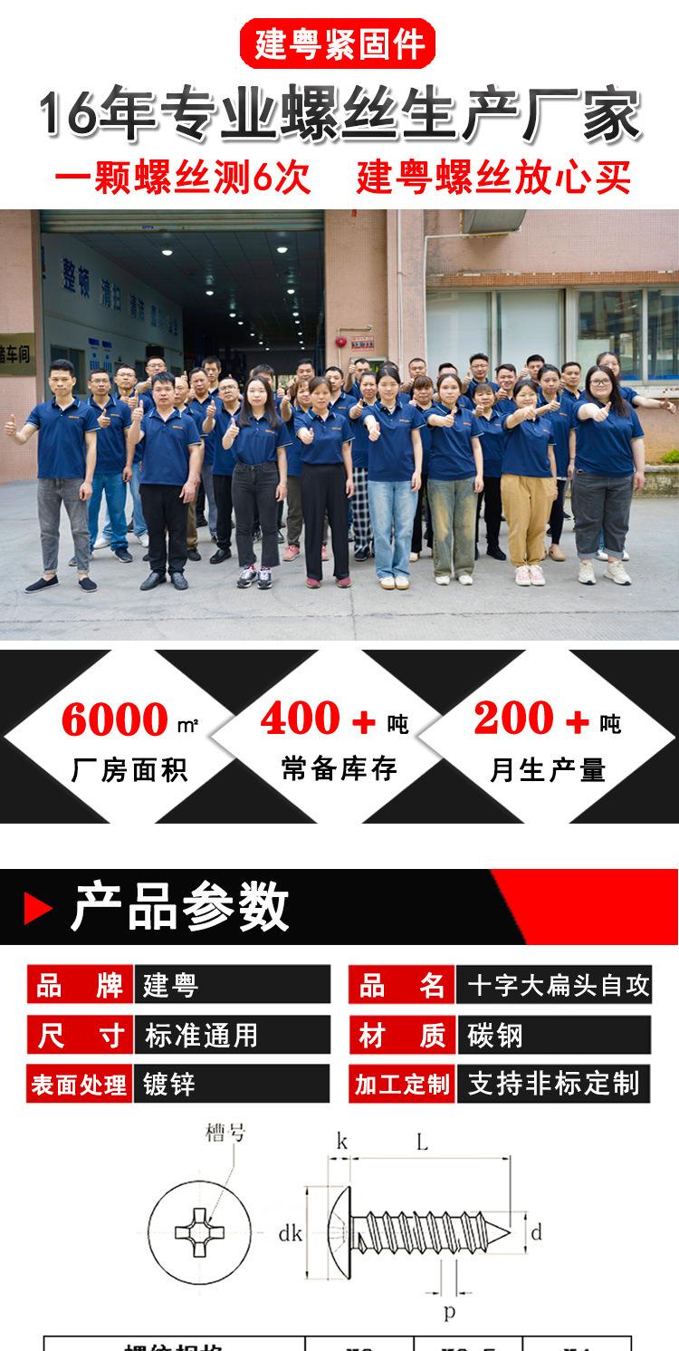 镀锌大扁头自攻建粤详情页_01.jpg