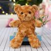 Muñeco de Peluche Muñeca Niños Novia Muñeca de Trapo Sudadera Logo de Oso Oso de Peluche Disfraz Oso Pequeño Curación Mini