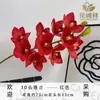 Novo Modelo Flores Artificiais de Orquídea Phalaenopsis em EVA para Decoração de Sala de Estar em Casa, Decoração Floral de Fundo para Hotel Atacado