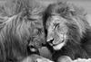 Mural de lienzo con león de dos cabezas en blanco y negro, póster de arte de pared para dormitorio, sala de estar, pintura decorativa moderna
