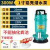 Bomba Submersível Doméstica 220V Aço Inoxidável Bomba de Água de Alta Potência Bomba de Esgoto Agrícola Doméstico Agrícola Lavagem de Carro