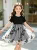 Vestido de Verão para Meninas com Costela, Manga Flare e Bordado de Borboleta, Saia Bufante de Tule, Vestido de Princesa para Meninas Saírem, Moderno