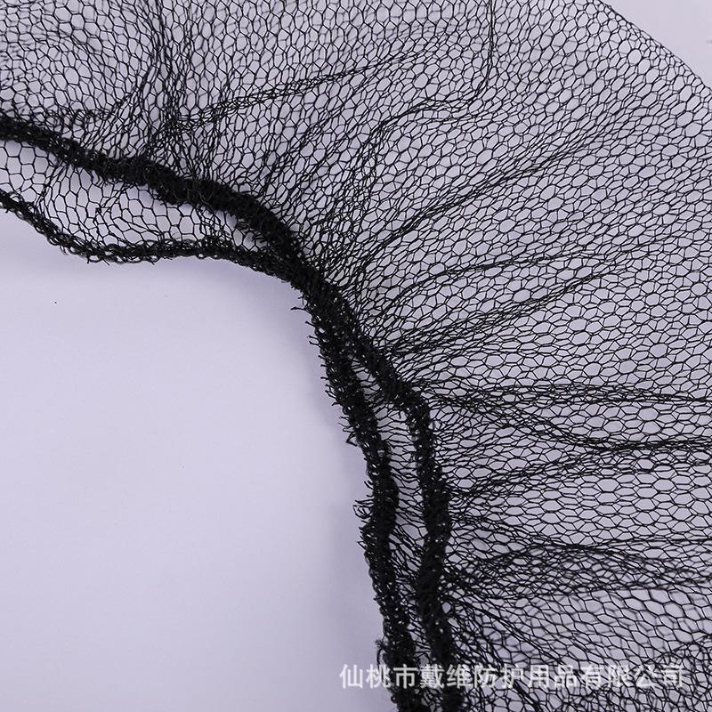 dpp-546.jpg