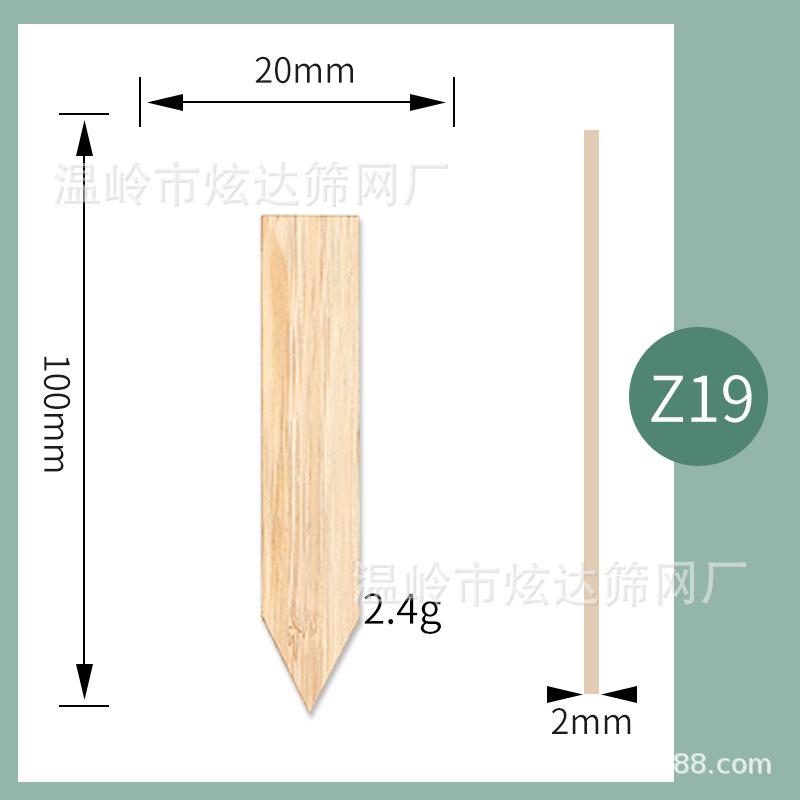 Z19.jpg