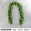 Simulación Enredadera de Eucalipto Enredadera Planta Verde Hojas Tubo Techo Hojas Verdes Enredadera Decorativa de Flores Enredadera de Flores Artificiales