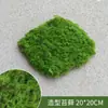 Grama de Musgo Biónica Artificial Musgo Falso Micro Paisagismo Decoração Gramado Bonsai Plantado em Vaso Pavimentação Paisagismo