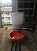 Alimentador Automático para Cerdos Alimentador Engrosado Cría Automática Control Remoto Ganadería Paloma para Alimento de Pollo y Pato