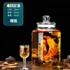 Botella de Vino de Vidrio para Uso Doméstico, Frasco Sellado de Gama Alta para Remojar Ginseng y Vino Medicinal, Recipiente para Vino con Pico, Botella de Vino Especial