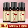 Artemísia Rosa 10ml Óleo Essencial para Massagem Salão de Beleza Spa Óleo de Massagem Sauna Banho de Pés Gua Sha Óleo Essencial para Massagem Atacado
