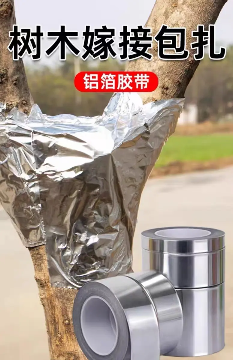 微信图片_20240510160446.jpg