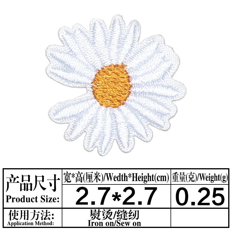 ZN172.jpg