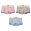 Huajielong Renda de Seda Gelo Estampada Roupa Íntima Feminina Atacado Cintura Média Tamanho Grande Respirável Boxer Feminino Dropshipping Disponível